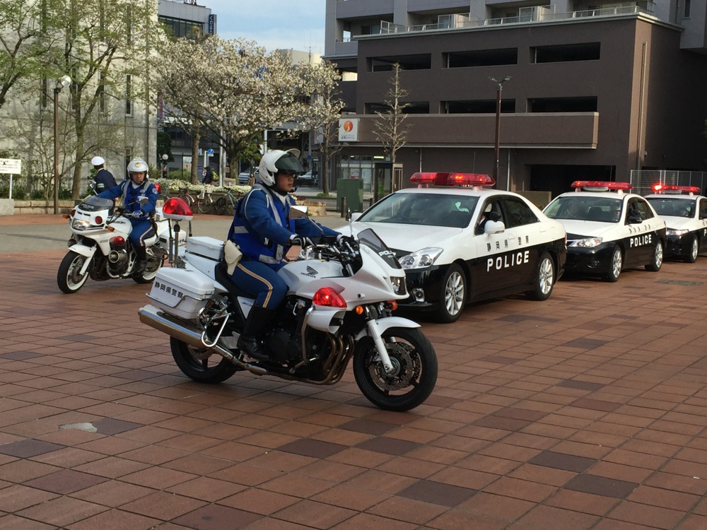 ※gifイメージはサムネイル化できません